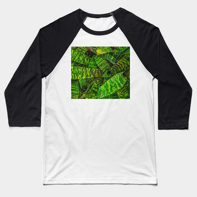 Green Zebra Plant Baseball T-Shirt by Rosemogo